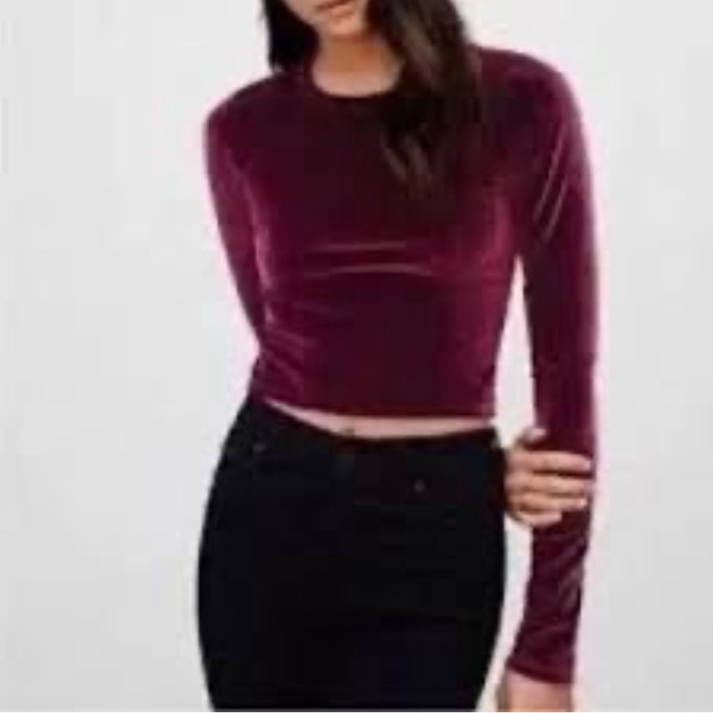 Aritzia WILFRED FREE velour crop top